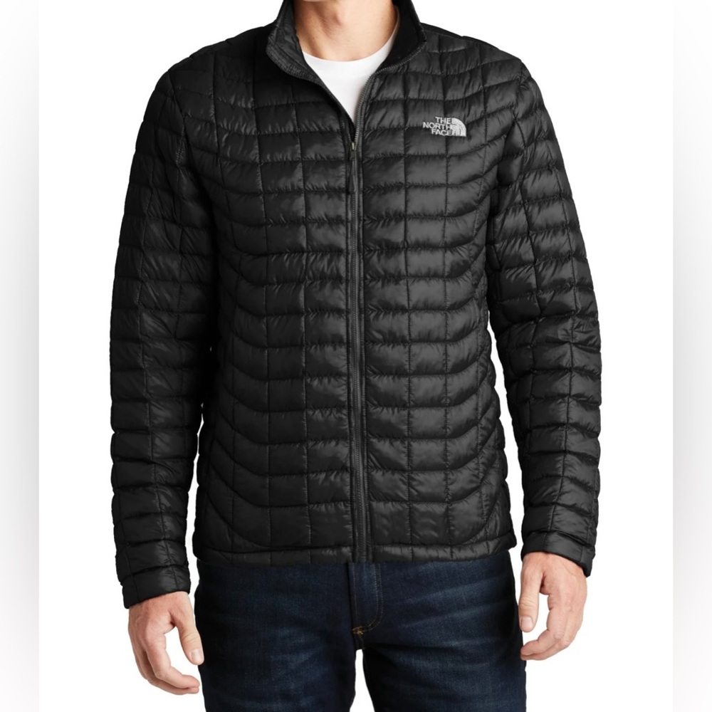 The North face men's jacket